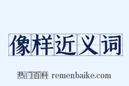 像样近义词是什么意思的图片